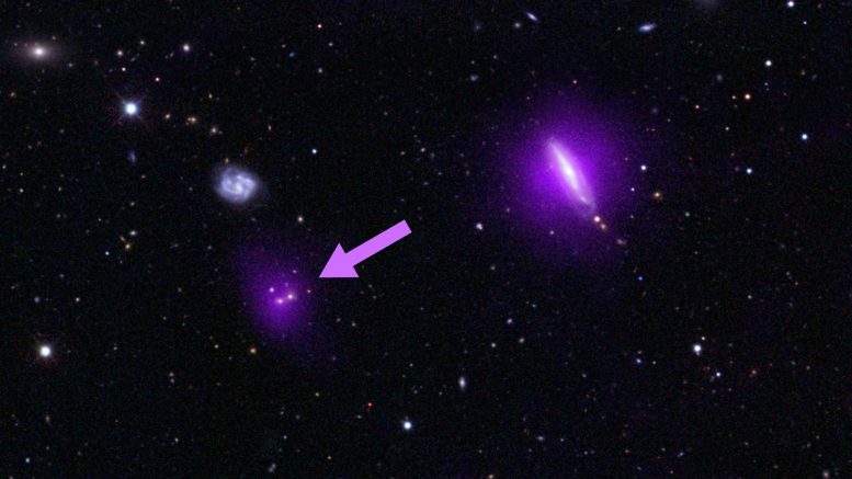 NuSTAR Views Ten Supermassive Black Holes