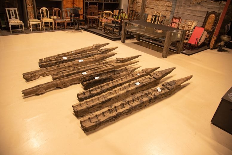 Oak Beds of Artillery Pieces, Gribshunden
