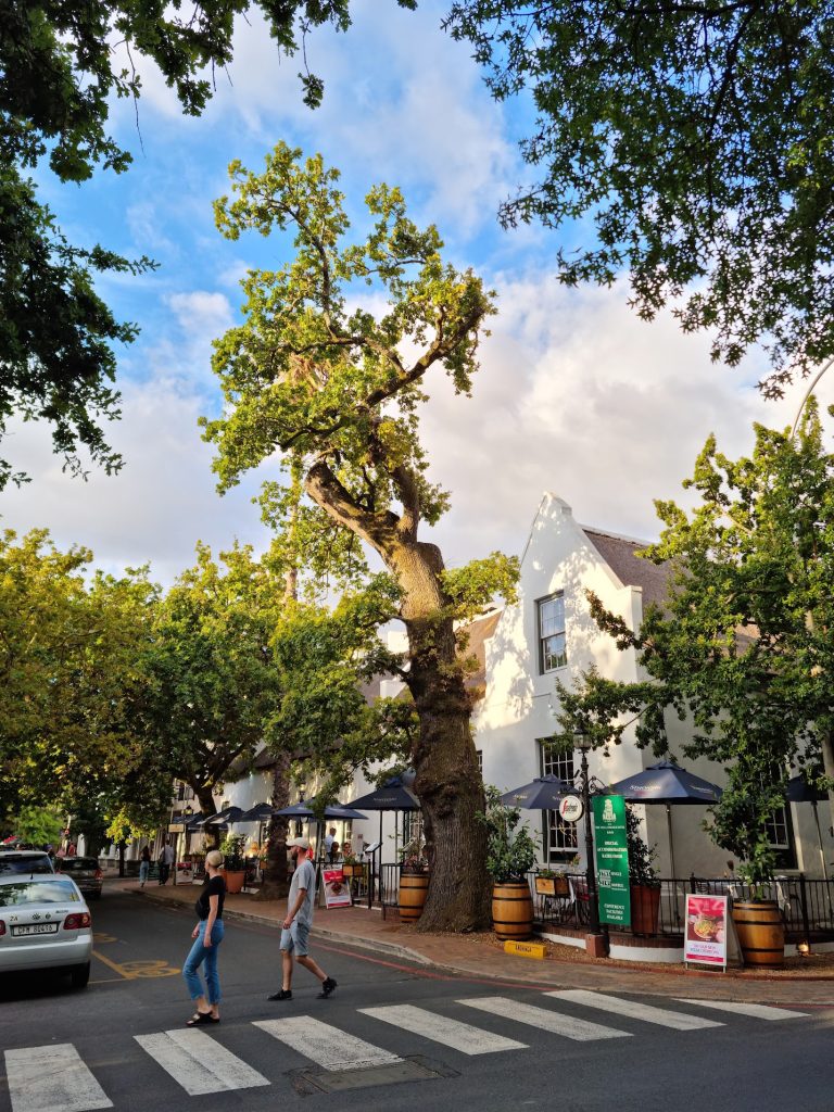 Oak Lined Streets of Historical Towns in Sa To Change