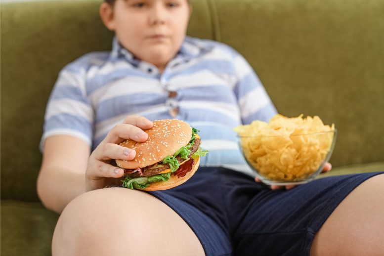 Obese Child Holding Junk Food