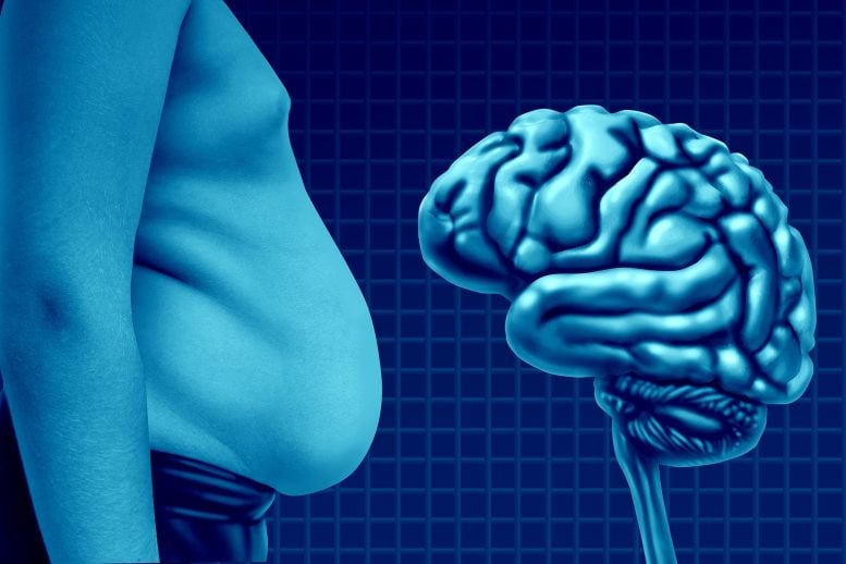 The Hidden Belly Fat That Quietly Ages Your Brain