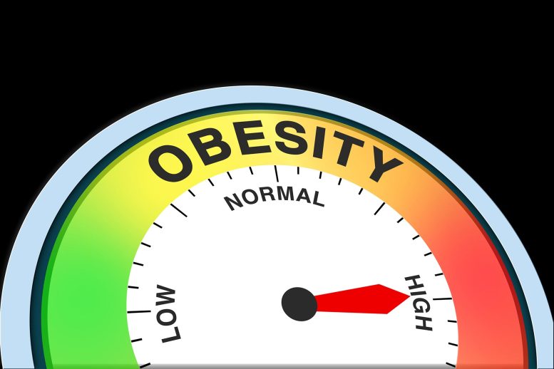 Obesity Measurement Test Dial