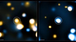Obscured Active Galactic Nuclei Triggered in Compact Star-Forming Galaxies