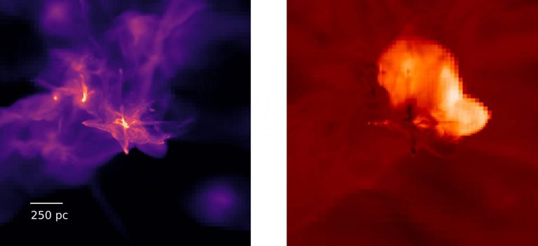 Looking Back in Time to Watch Massive Black Hole Formation