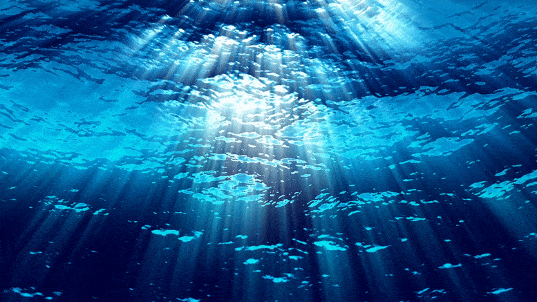 Ocean Carbon Capture Concept