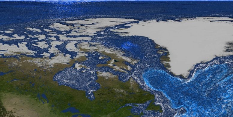 Greenland’s Melting Ice Is Supercharging Life in the Sea