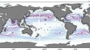Ocean Currents and Garbage Patches