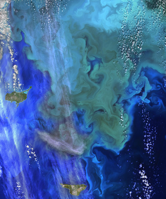 Ocean Data Shows Plankton Movement