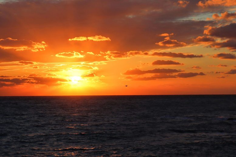 Ocean During Sunset