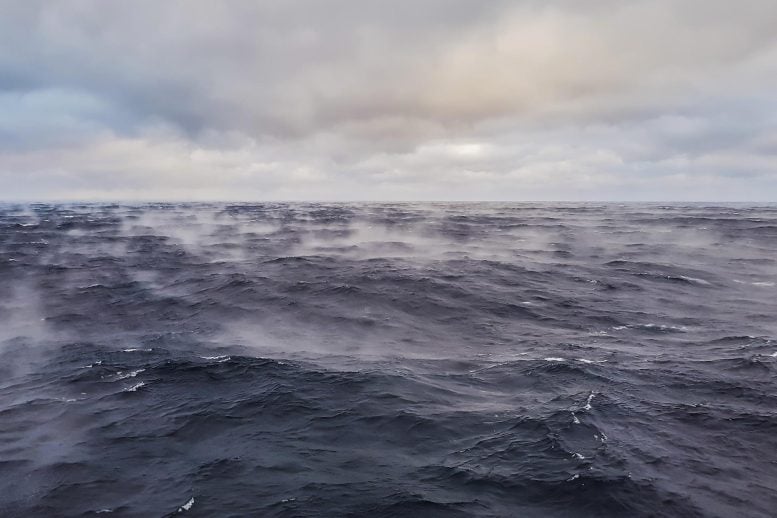 Worse Than Predicted: Coastal Waters Are Acidifying at an Alarming Rate