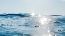 Ocean Water Surface Sunshine