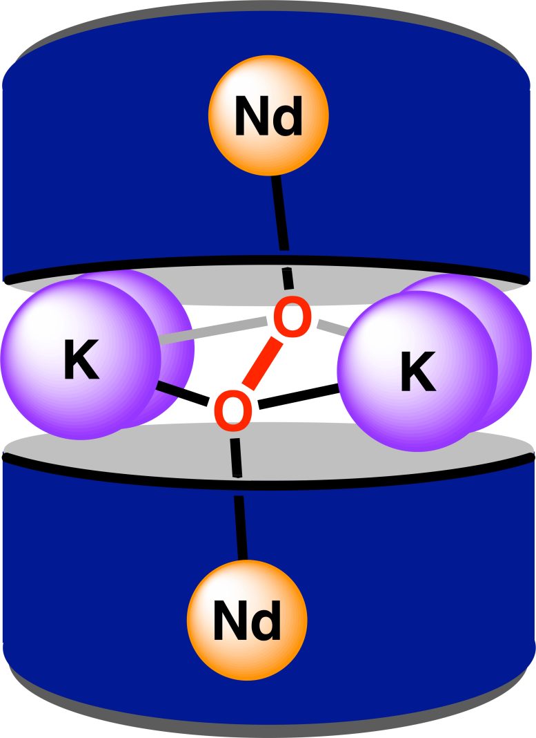 Octacoordinate Ligand Environment