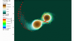 Octo Tiger Astrophysics Simulation