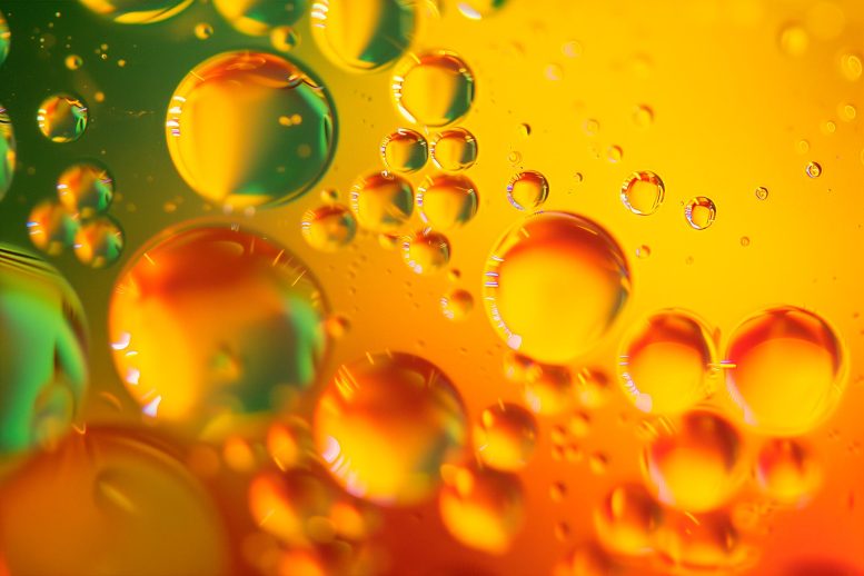 Concetto di arte della bolla d'olio