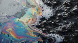 Oil Spill Cleanup Art