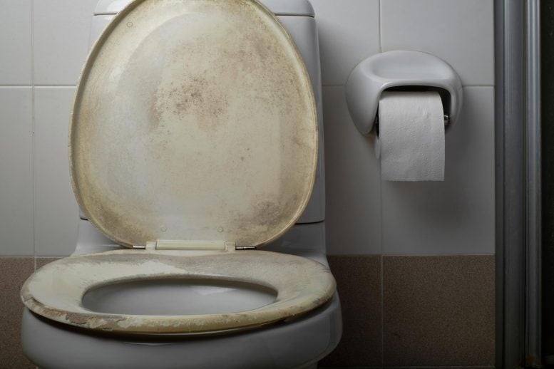 Old Dirty Toilet Bathroom