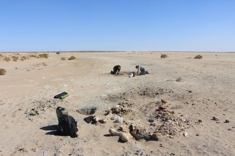Excavation of the Greg model