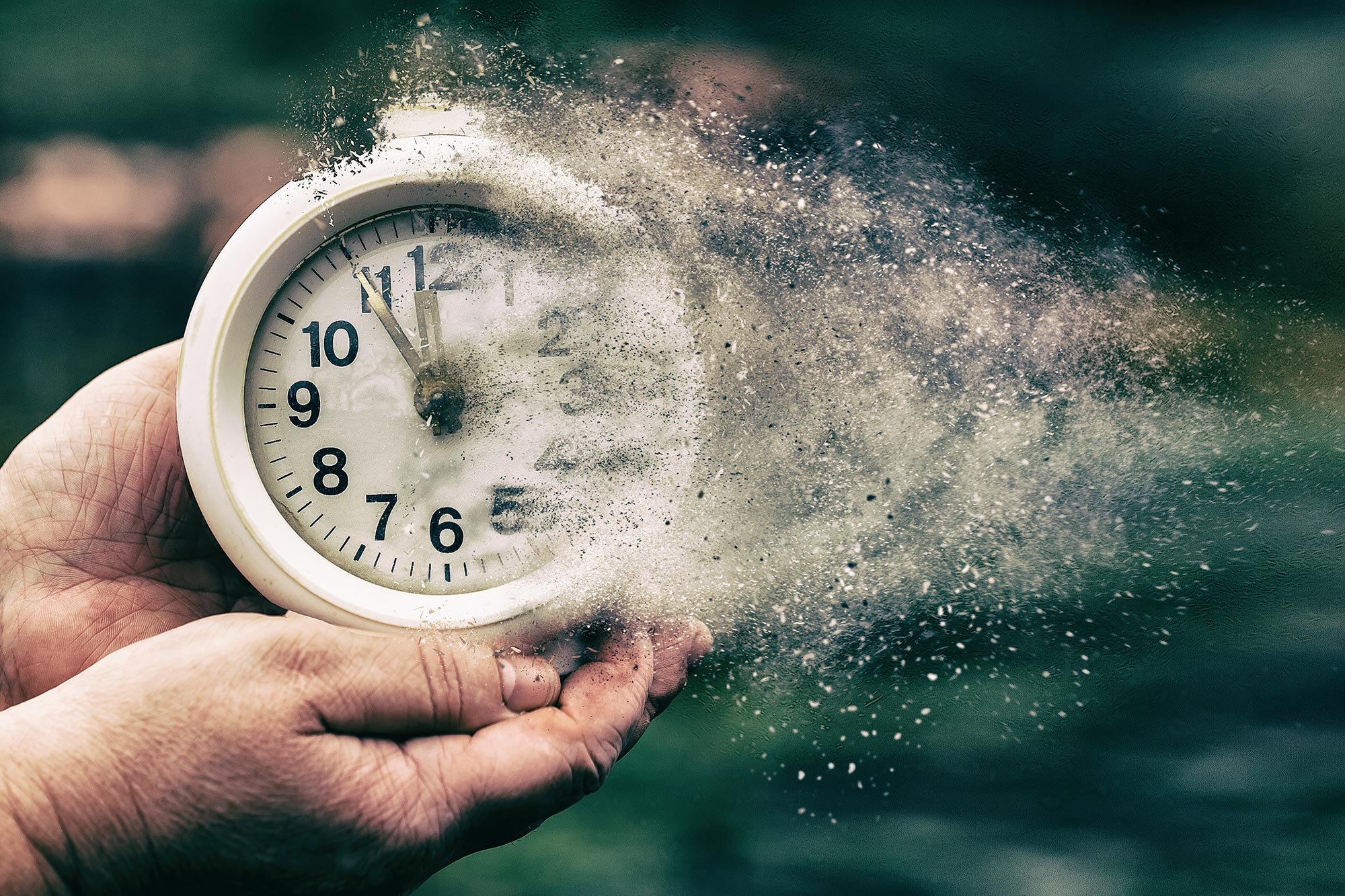 “Mystery Molecules” Found in Dogs Could Help Humans Live Longer, Healthier Lives