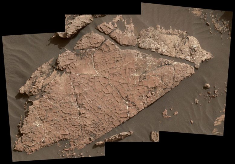 Old Soaker Martian Rock Slab