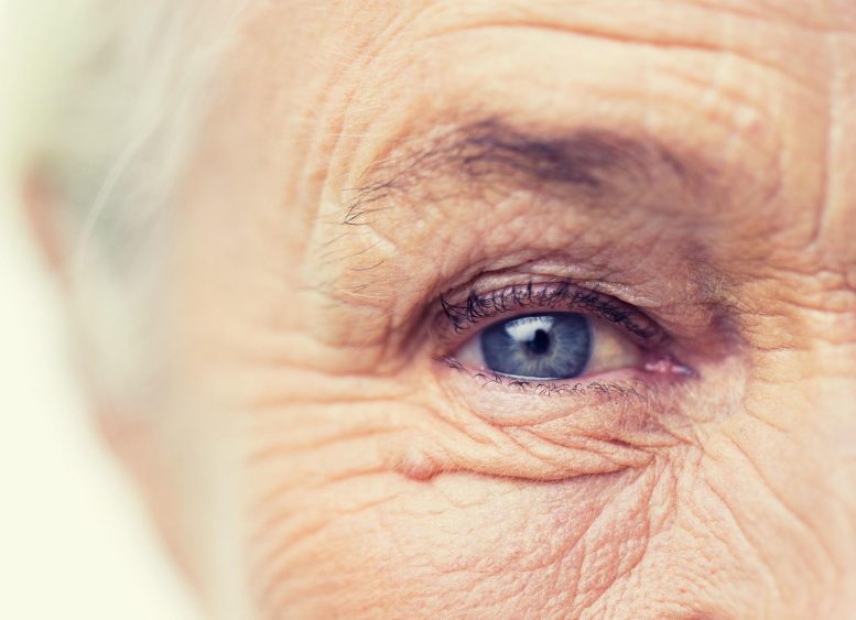 Old Woman Eye