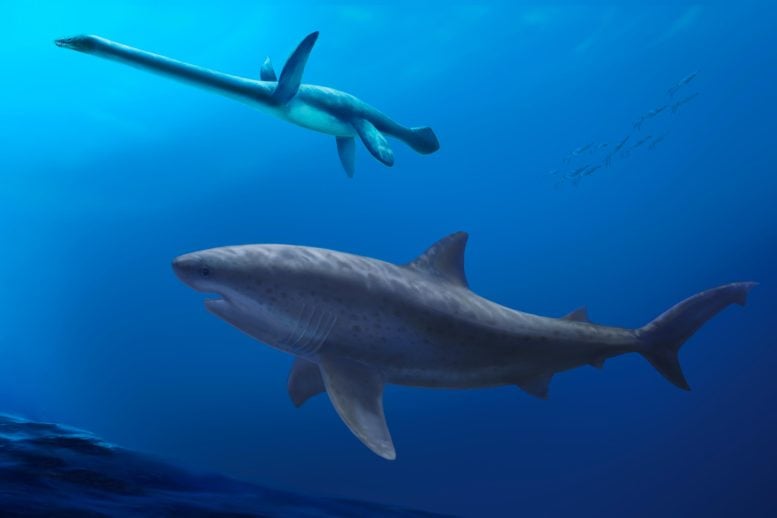 Giant Ancient Shark Discovered in Australia Stuns Scientists