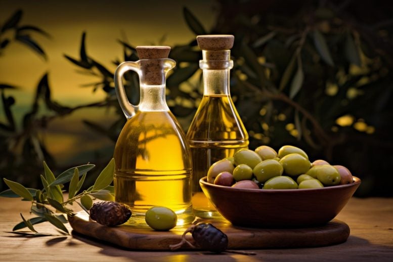 Olive Oil Concept Illustration