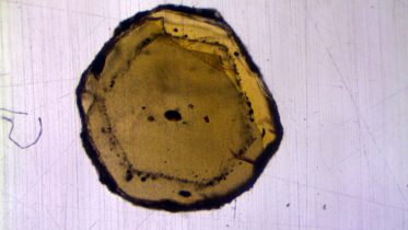 Olivine