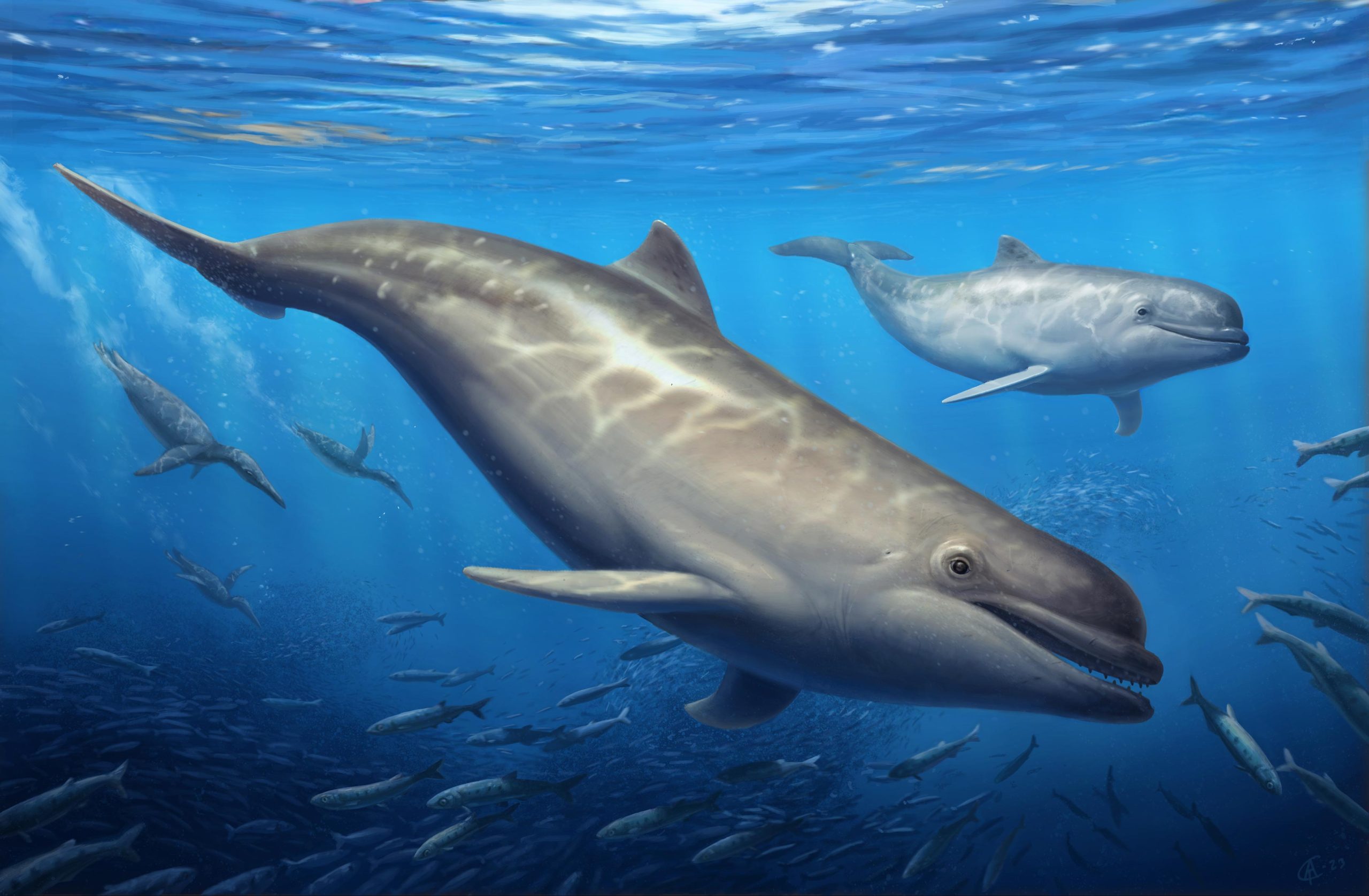 Descubre los primeros ancestros de los delfines hoy