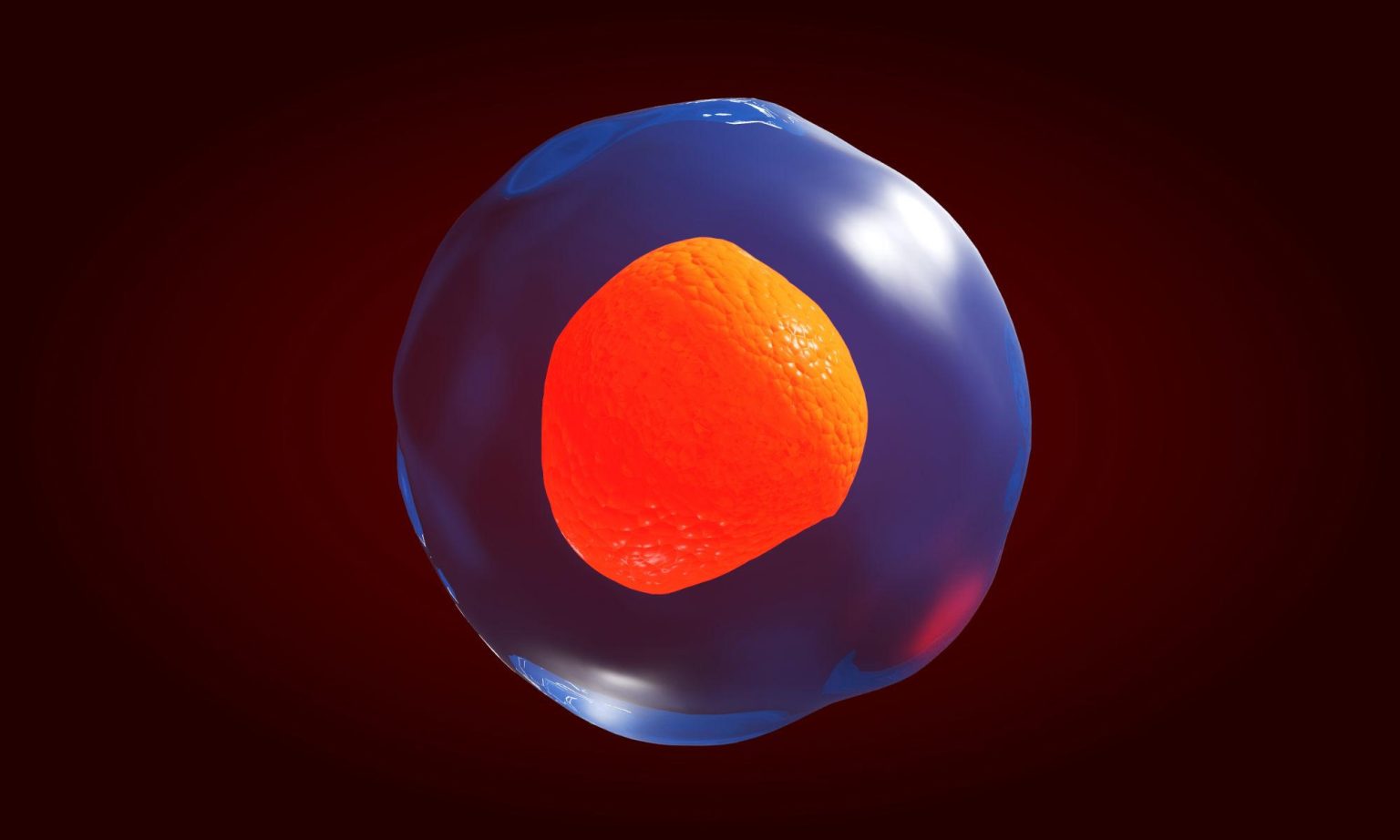 Beyond the Mythical “Average” Cell – A New Framework for Understanding ...