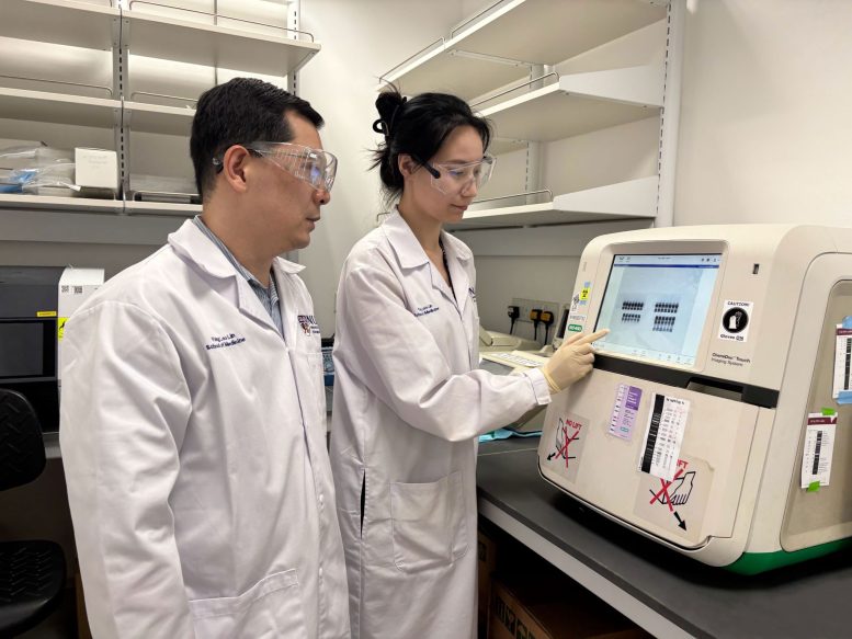 Ong Sek Tong Derrick and Liang Yajing