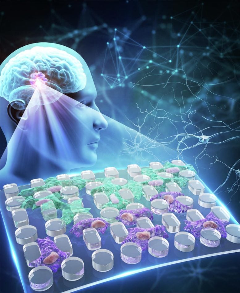 Open Micro Valley Chip for Viscosity Driven Glioblastoma Invasion Study