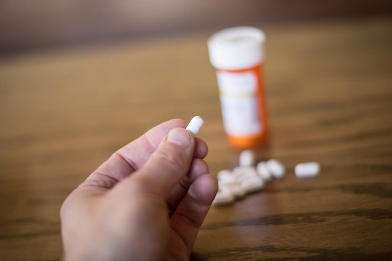 Opioids Painkillers Addiction