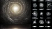 Images of the Optical Light Emitted by the Stars of 16 Galaxies from the TNG50 Simulation