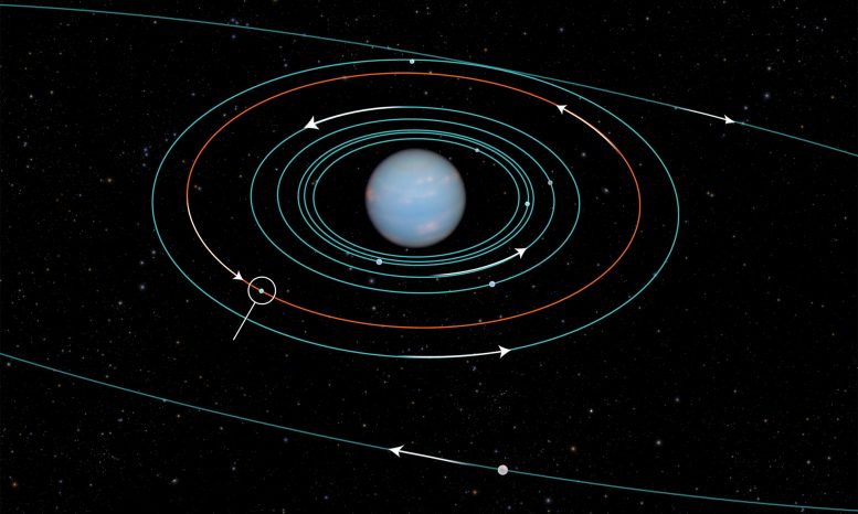 Orbit of Neptunes Newly Discovered Moon