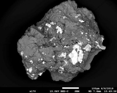 Ordinary Antarctic Meteorite