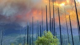 Oregon Riverside Fire 2020