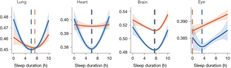 Organ Specific Biological Clocks