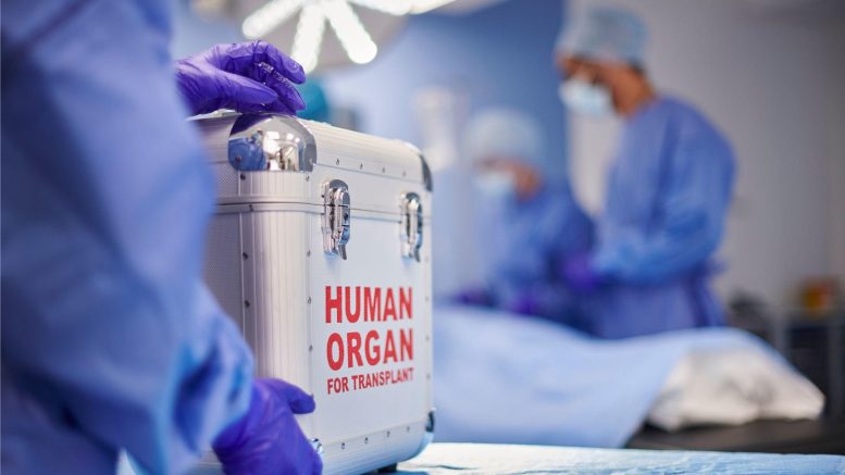Organ Transplant Hospital