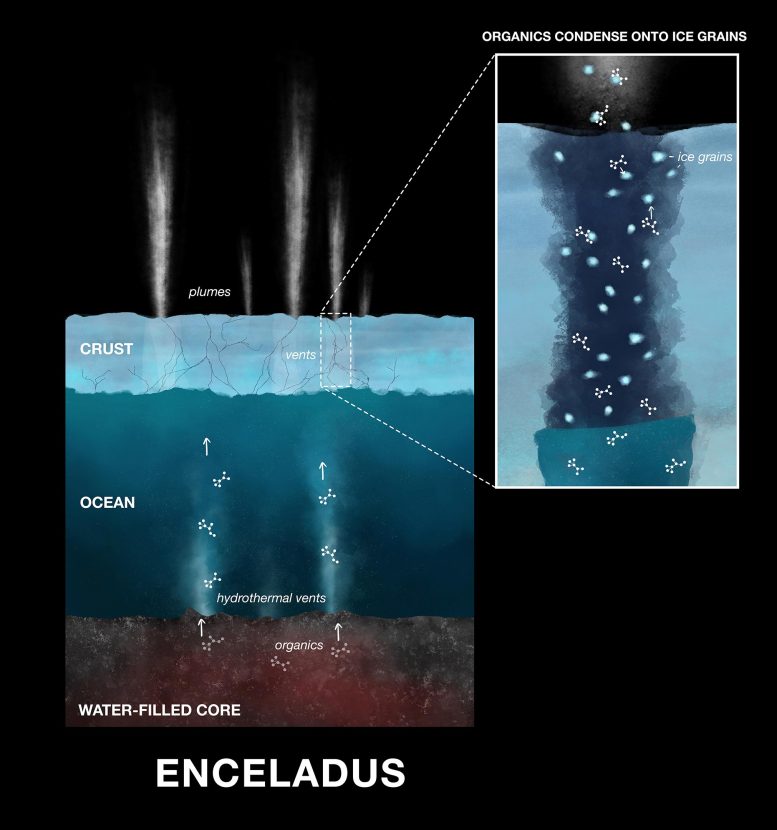 Organic Compounds in Enceladus Ice Grains