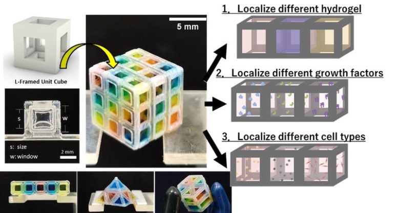 Organoid Cube System Schematic