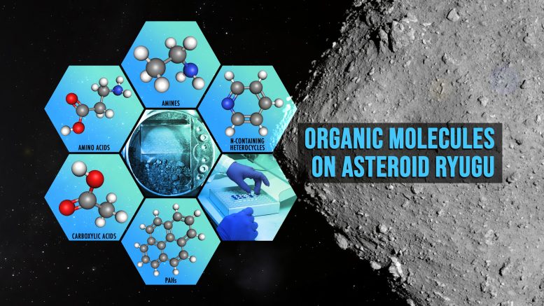Orgnaic Molecules Asteroid Ryugu