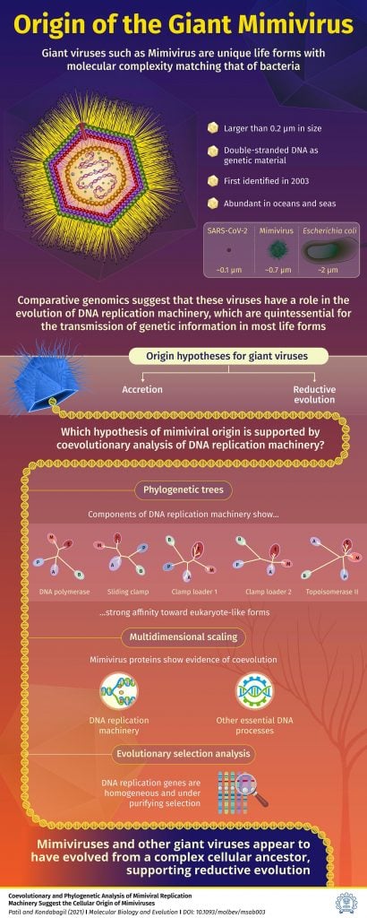 Origins of Giant Viruses