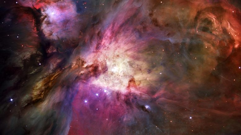 Orion Nebula Newborn Stars