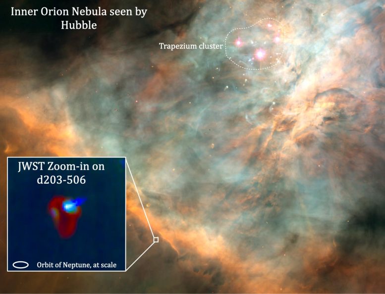 Orion Nebula Protoplanetary Disc d203-506