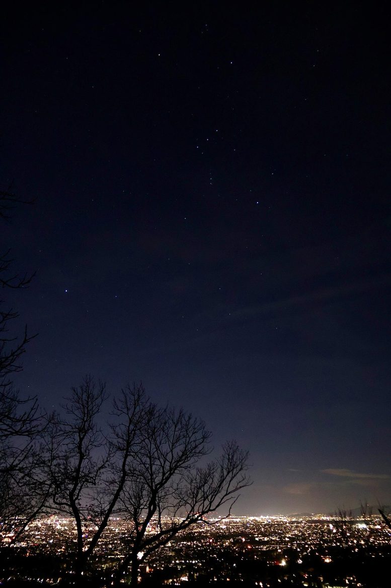 Orion Over Vienna