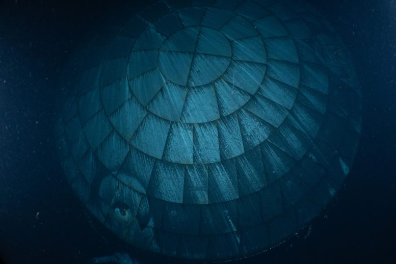 Orion Spacecraft&rsquo;s Heat Shield After Splashdown