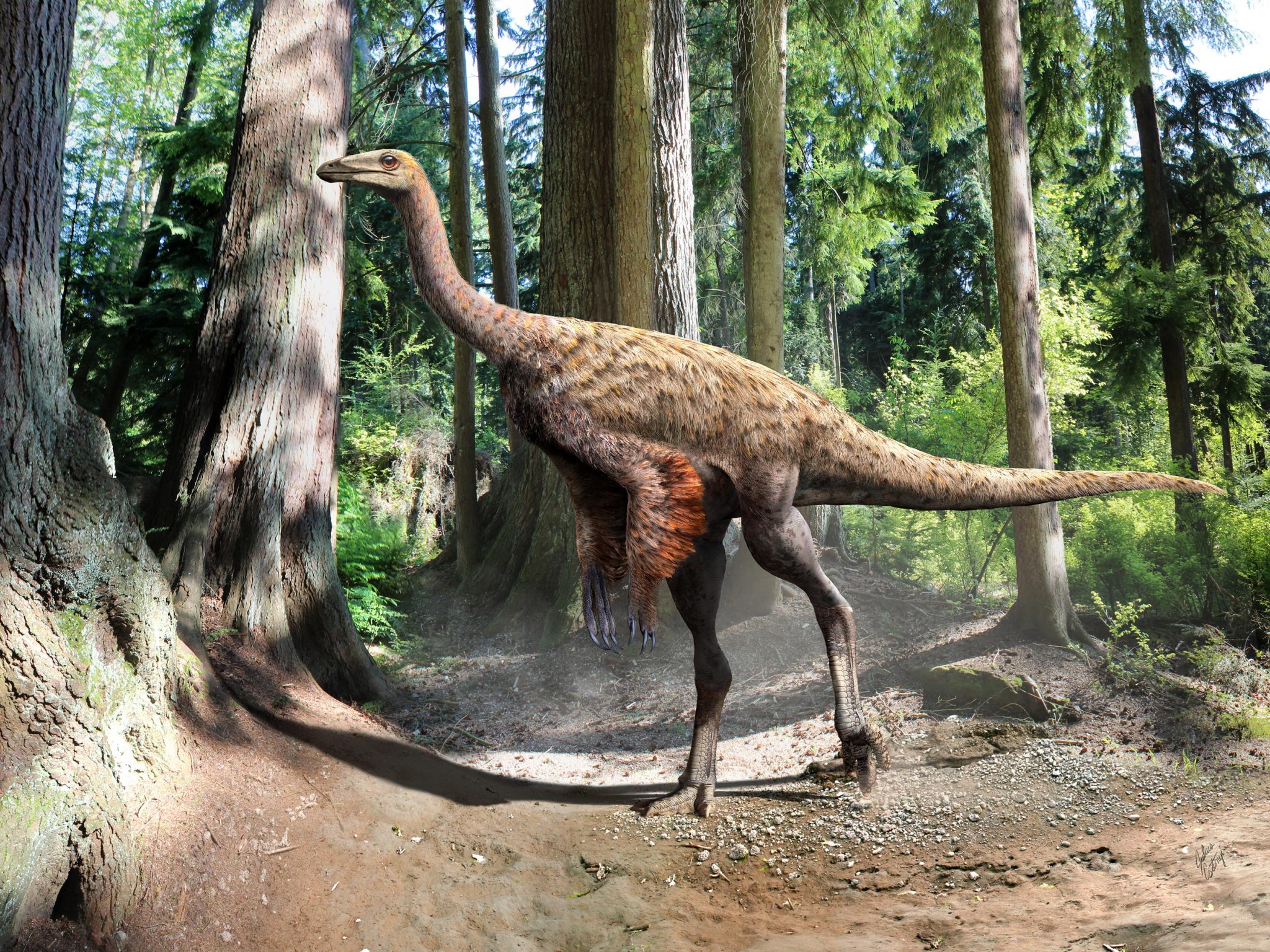 800 KILOGRAM OSTRICH LIKE DINOSAURS STOMPED AROUND MISSISSIPPI 85 MILLION YEARS AGO visual data 5