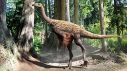 Ornithomimus Illustration