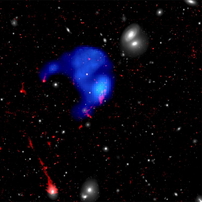 Orphan Cloud Discovered in Galaxy Cluster