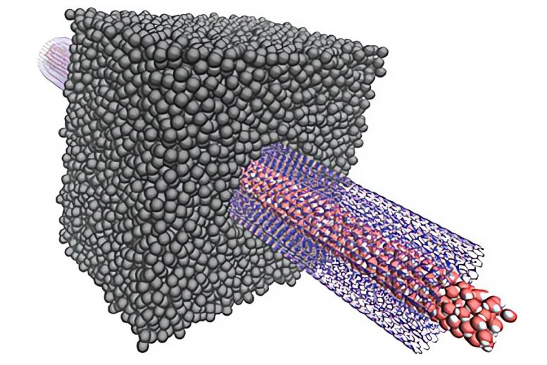 Osmotic Transport of Water Through a Transmembrane Boron Nitride Nanotube